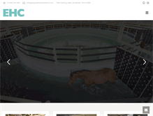 Tablet Screenshot of equinehealthcentre.com